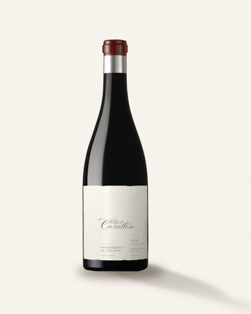 2019 Descendientes de J. Palacios, Bierzo, Villa Corullon